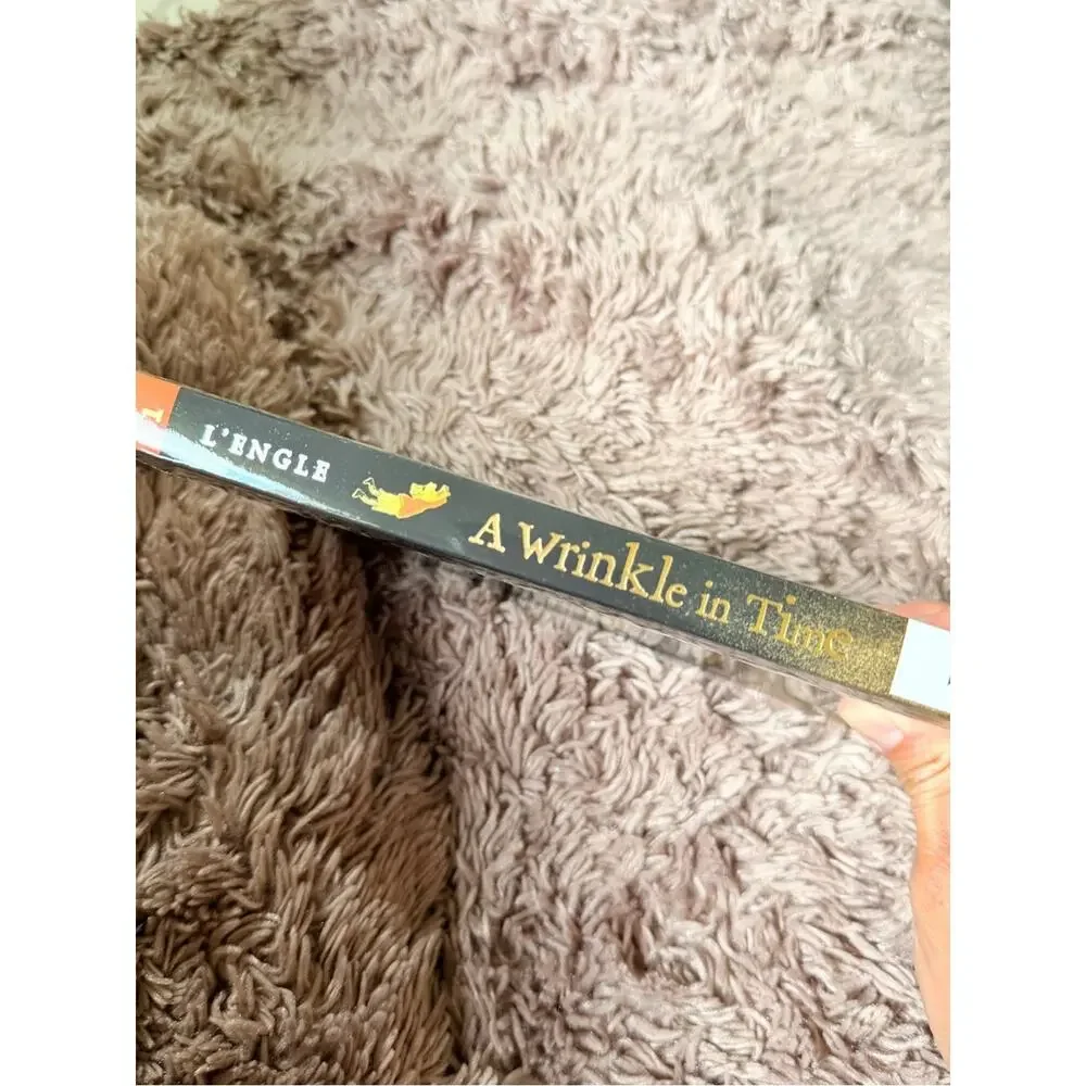 A Wrinkle in Time by Madeleine L'Engle - paperback Young Adults book